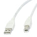 AV Now USB 2.0 Type A Male to USB Type B Male Cable, 6 Ft. Long