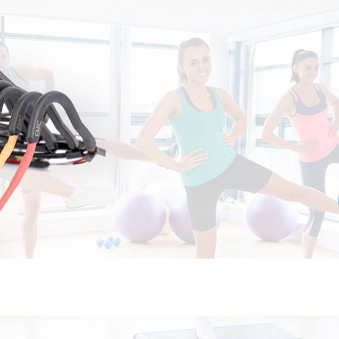 NEW E-mic Fitness Headset Microphone MultiMic Connector