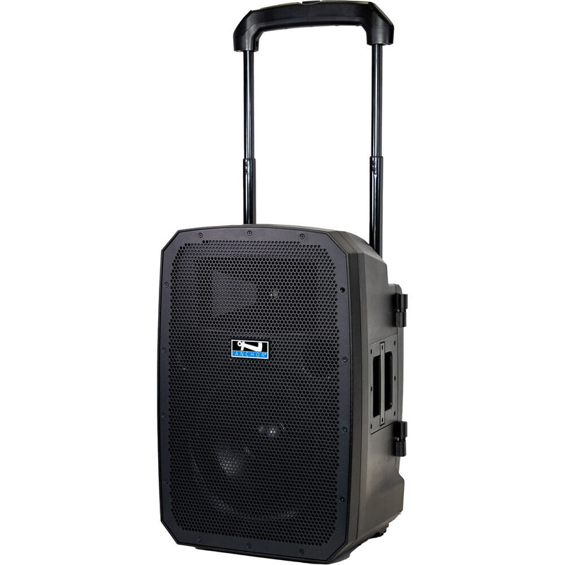 Anchor Audio Liberty 3 Hub Battery-Powered PA System with (2) Wireless Microphones