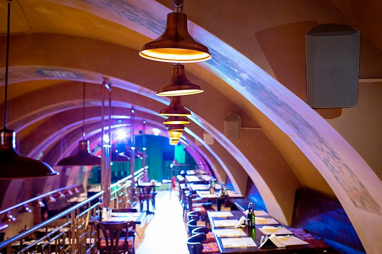 Electro-Voice EVID-S8.2 8" 2-Way Commercial Loudspeaker (Pair, Black)