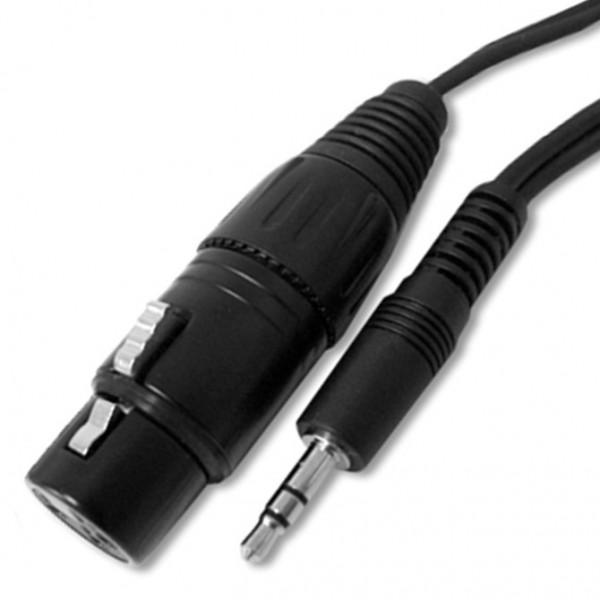 AV Now Female XLR to 3.5mm male TRS - 6 ft.
