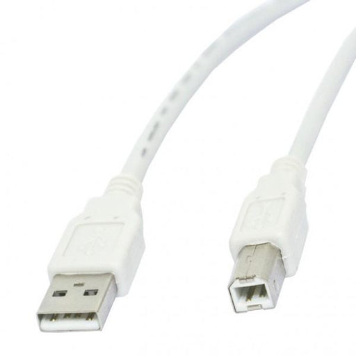 AV Now USB 2.0 Type A Male to USB Type B Male Cable, 6 Ft. Long