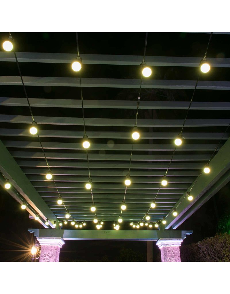 Chauvet DJ Festoon 2 RGB Color-Mixing LED Bulb String Light (49')