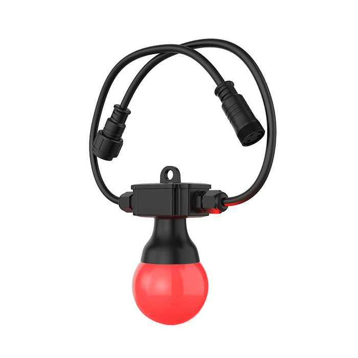 Chauvet DJ Festoon 2 RGB Color-Mixing LED Bulb String Light (49')